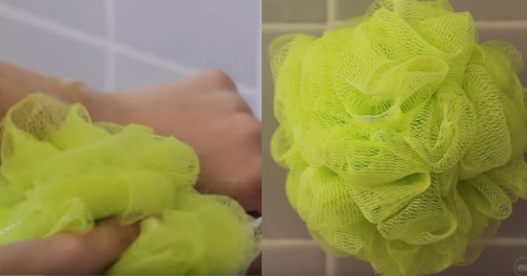 Scientists urge anyone who uses loofah in the shower to throw it or to prepare for the worst