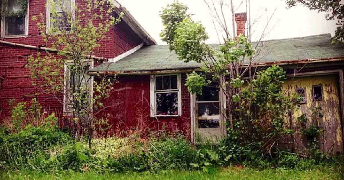 A photographer found an abandoned house in the forest, opened the door and was shocked by what she saw
