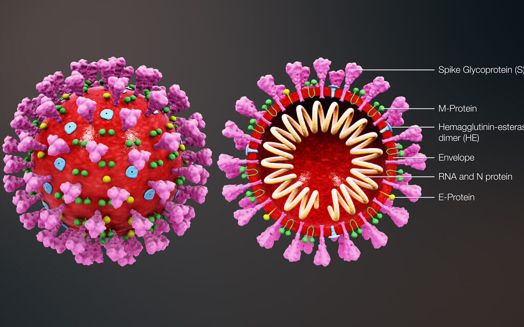 I've had Coronavirus (COVID-19) with mild symptoms, here's how I recovered