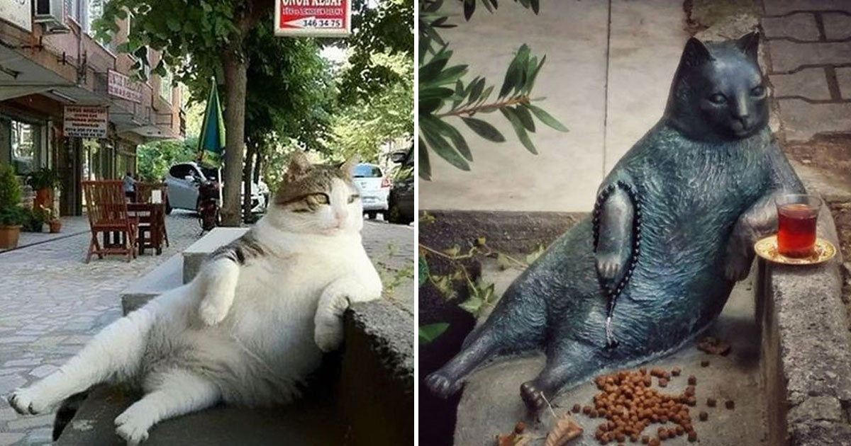 A famous street cat passed away, so the municipality honored his memory with a statue in his favorite place