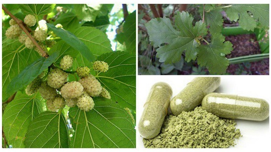 A tree that grows everywhere: treats tumors, hypertension, and diabetes. And no one told you!