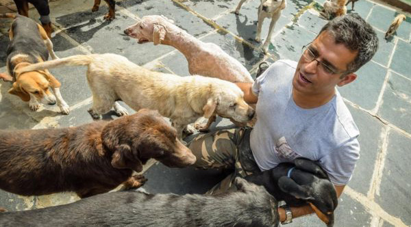 A software engineer built a huge farm where he raises 735 homeless, old and sick dogs that nobody wants