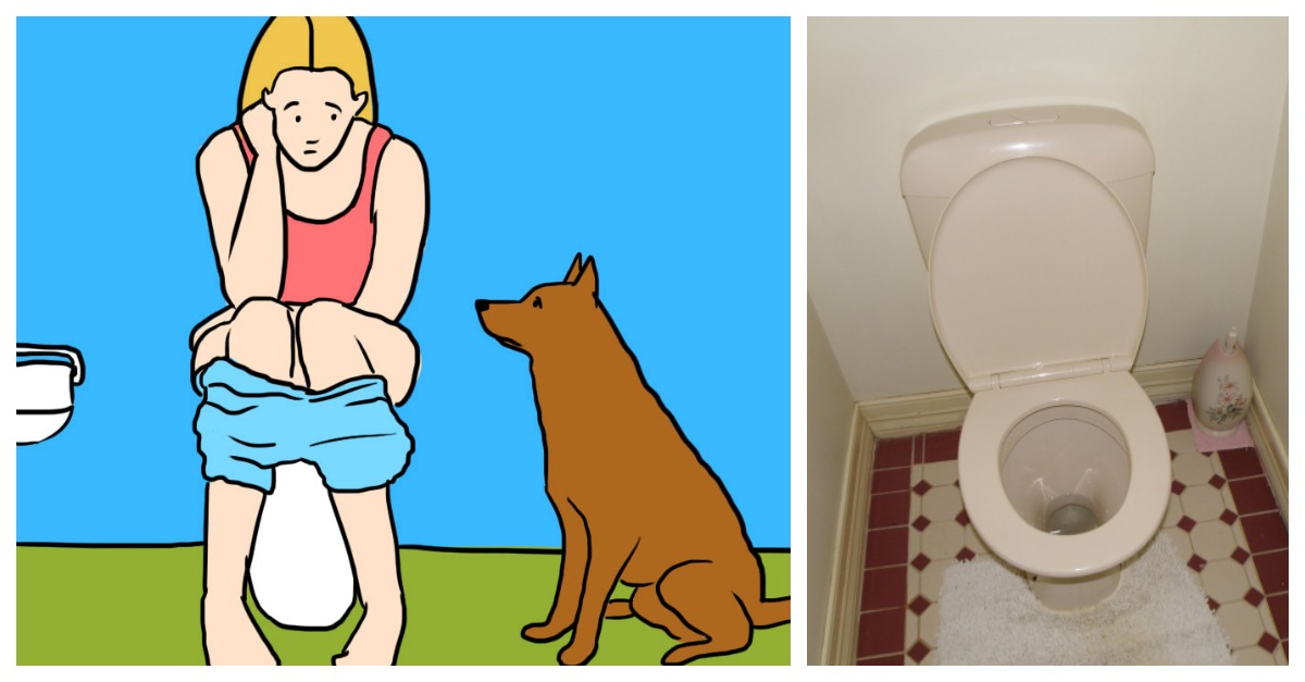 If your dog always follow you to the bathroom, that's what he's trying to tell you..