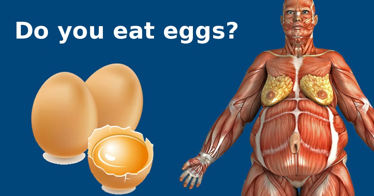 Doctors reveal: This is what happens in your body when you start eating two eggs a day