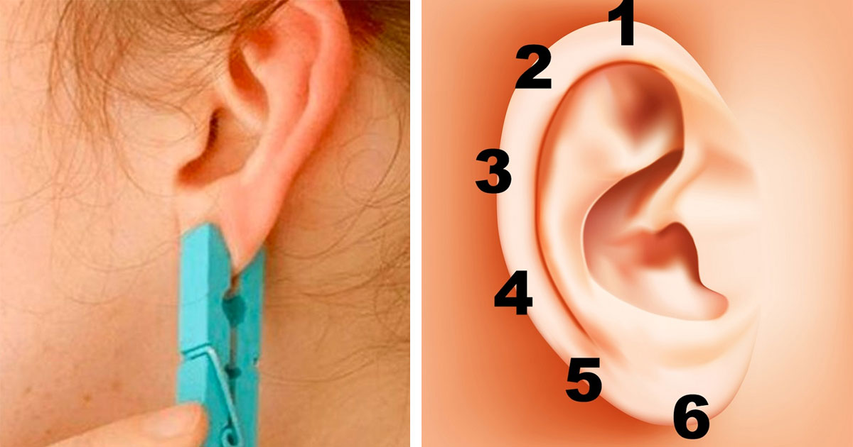Place a clothespin on the ear for 5 seconds. The unexpected effect will surprise you and big!