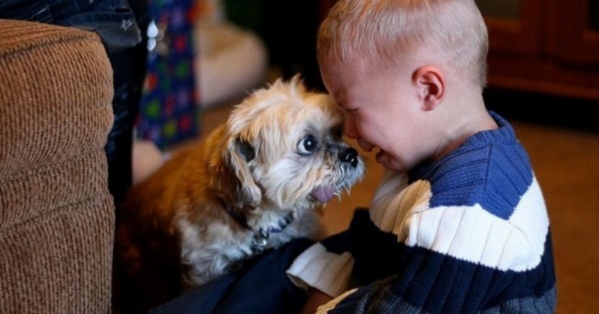 25 pictures that show why every child should grow up with a pet