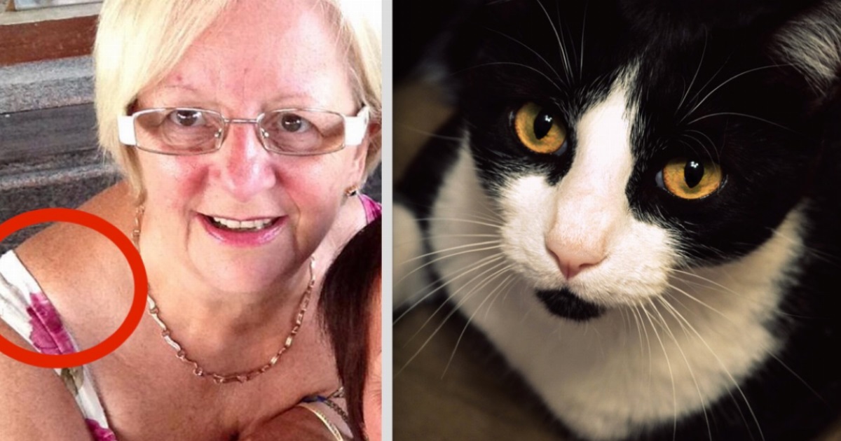 A 64-year-old woman's cat started behaving strangely - but then she realized he was trying to tell her something