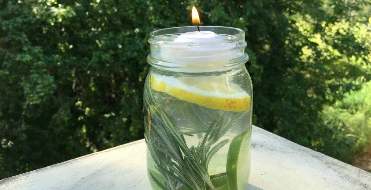 With a few simple ingredients she kept the mosquitoes away forever - without the use of chemicals!
