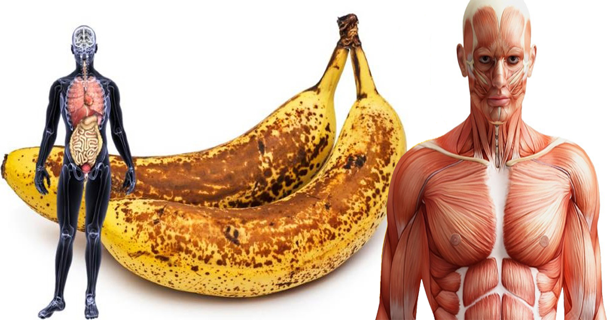I ate only bananas for 4 days, and this is what happened to my body