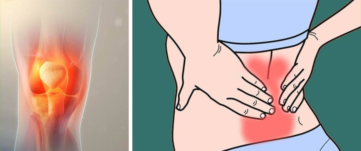 The 7 best herbs that will provide relief and help you heal from inflammation and joint pain