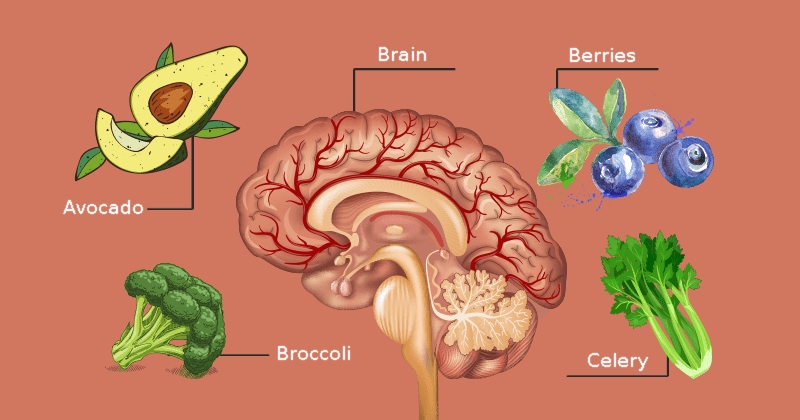 These 9 foods increase the blood flow to the brain