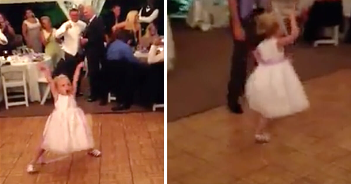 The flower girl danced at the wedding, when the song changed the guests completely lost it