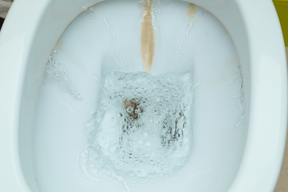 Is your toilet full of stains? A handyman reveals the main cause and how to remove them