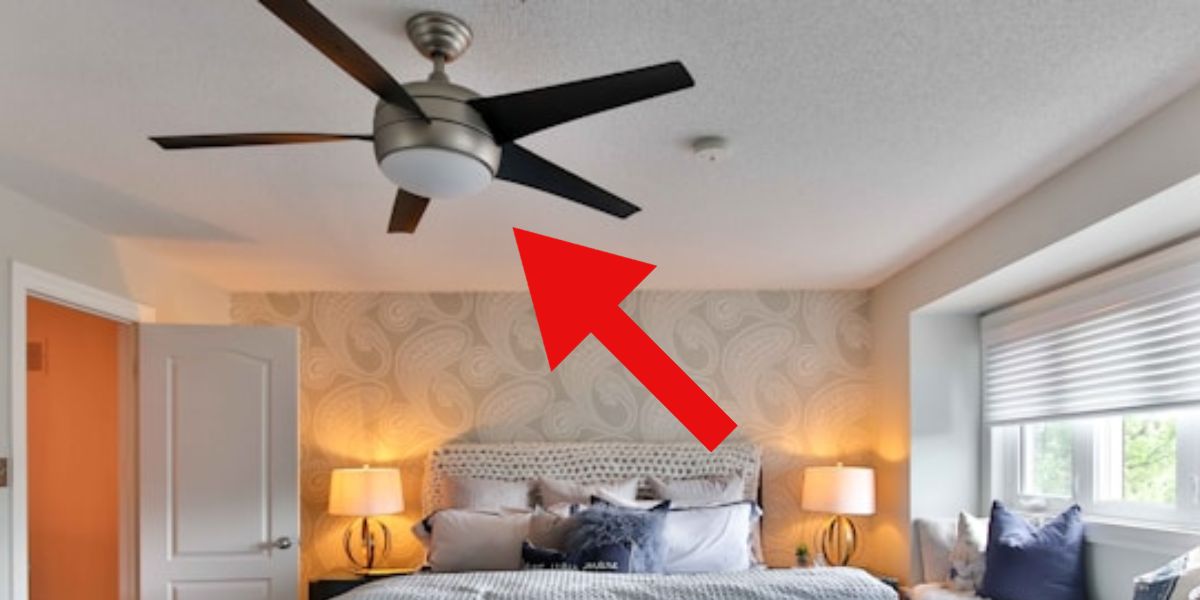 I sleep with a ceiling fan every night, but this is what my friends never told me
