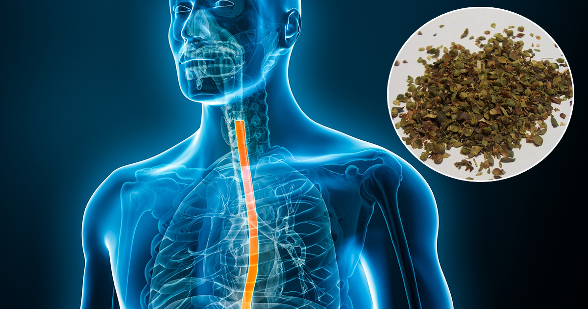 This is what happens to your body when you eat oregano every day